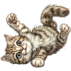 Funny Cat