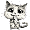 Funny Cat