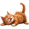 Funny Cat