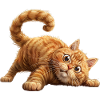 Funny Cat