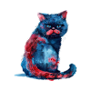 Funny Cat