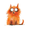 Funny Cat