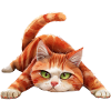 Funny Cat