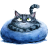 Funny Cat