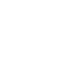 Silhouette Stallion Portrait