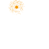 Coconut Tree