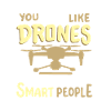 Drones Quadcopter RC Drone Pilot
