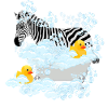 zebra, bubbles and rubber duckies