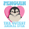 Penguin The Cutest Animal