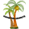 Cuckoo for Coconuts