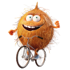 Coconut