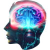 Energetic Brain