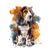 Basset Hound