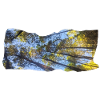 Skyward Pines