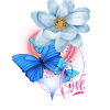 Love. Flowers, rose