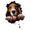 Basset Hound