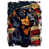 Alpine Dachsbracke