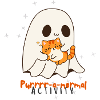 Purrrr-a-normal activity