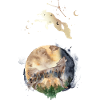 Wolf Moon Magic