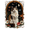 Turkish Van Cat