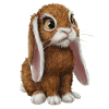 Coconut Bunny