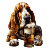 Basset Hound