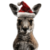 Kangaroo Christmas Hat