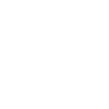 Squirrel Tattoo Style Drawing