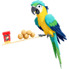 Snack Time Parrot