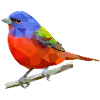 lowpoly painted bunting bird