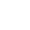 Squirrel Tattoo Style Drawing