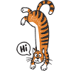 Funny Cat