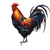 Rooster - "Cluck Commander"