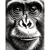 Chimp in Charcoal