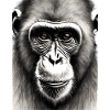 Chimp in Charcoal 2