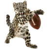 Snow Leopard