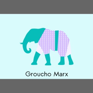 Elephant in Pajama