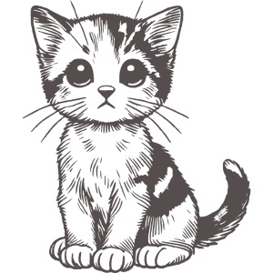 Kitten