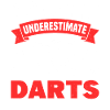 Darts Dart Player