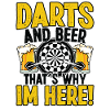 Darts Dart Player