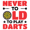 Darts Dart Player