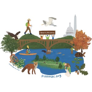 Icons of the Potomac