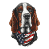 Basset Hound