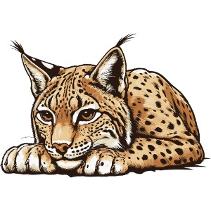 Lynx