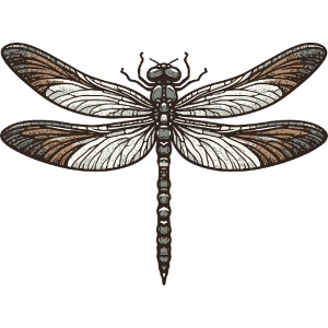 Dragon-Fly