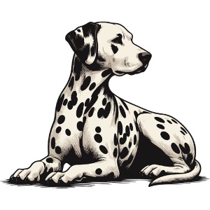 Dalmatian