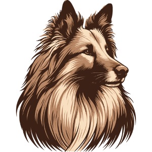 Groenendael