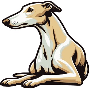 Greyhound