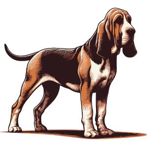 Bloodhound