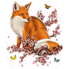 Fox Cherry Blossom